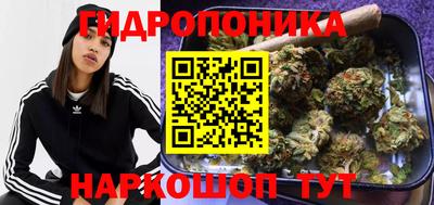 соль курить ск Новодвинск